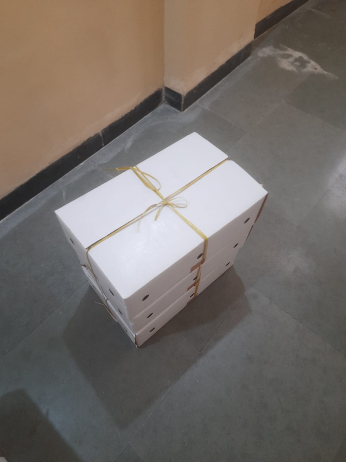 BulFresh founder delivering the first mango order at NCL Pune, April 2025