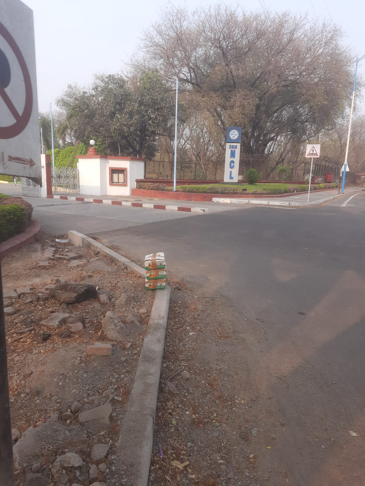 BulFresh founder delivering the first mango order at NCL Pune, April 2025