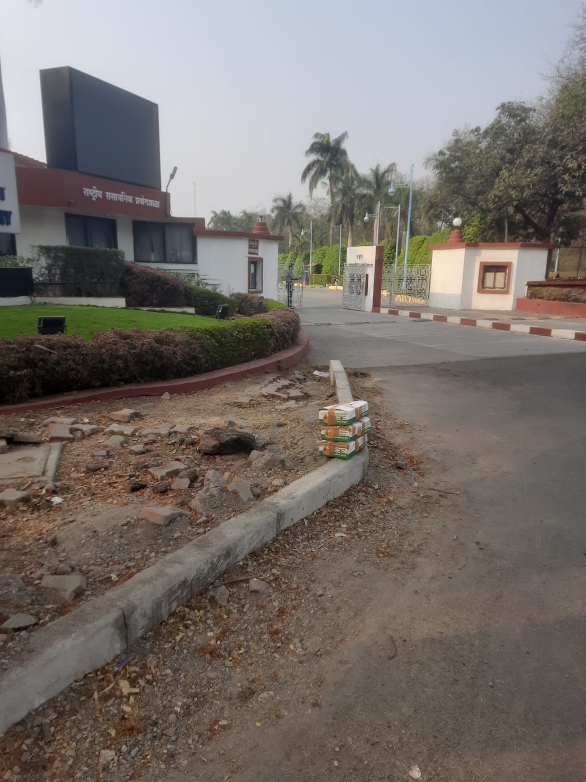 BulFresh founder delivering the first mango order at NCL Pune, April 2025