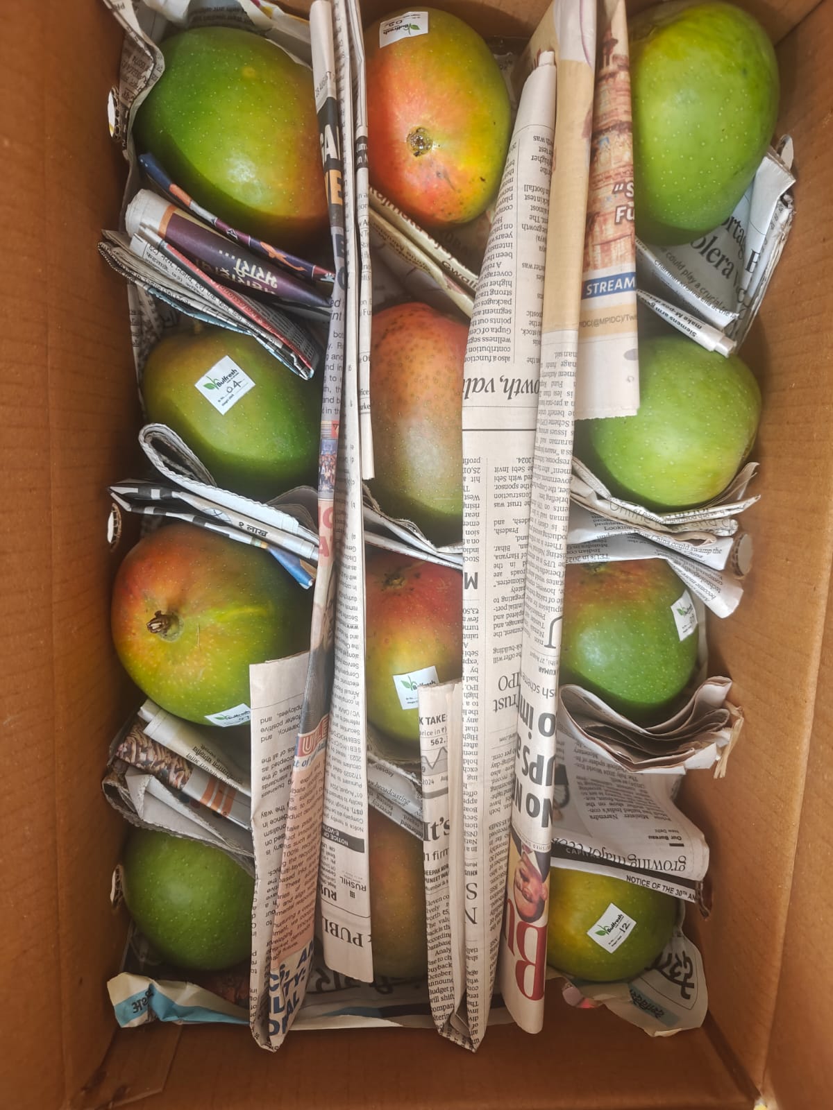 Premium Alphonso Mango