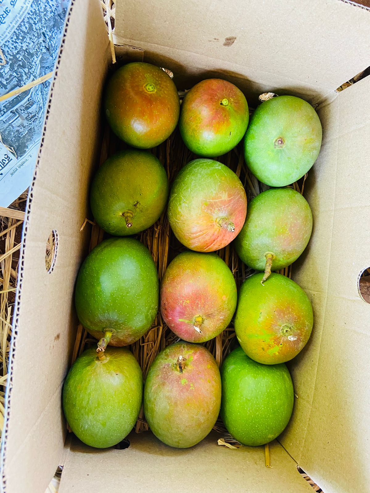 Premium Alphonso Mango